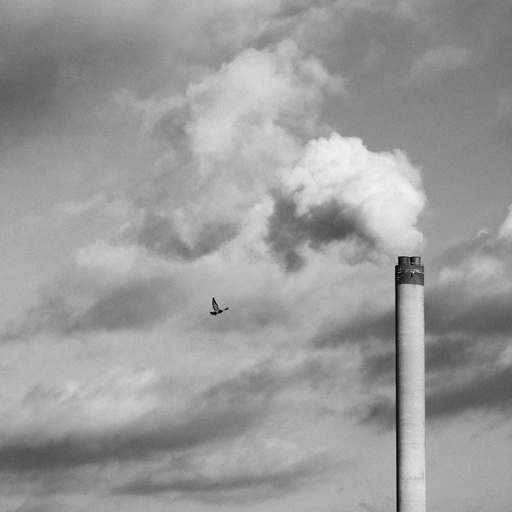1. La Fumée fait vivre les pigeons